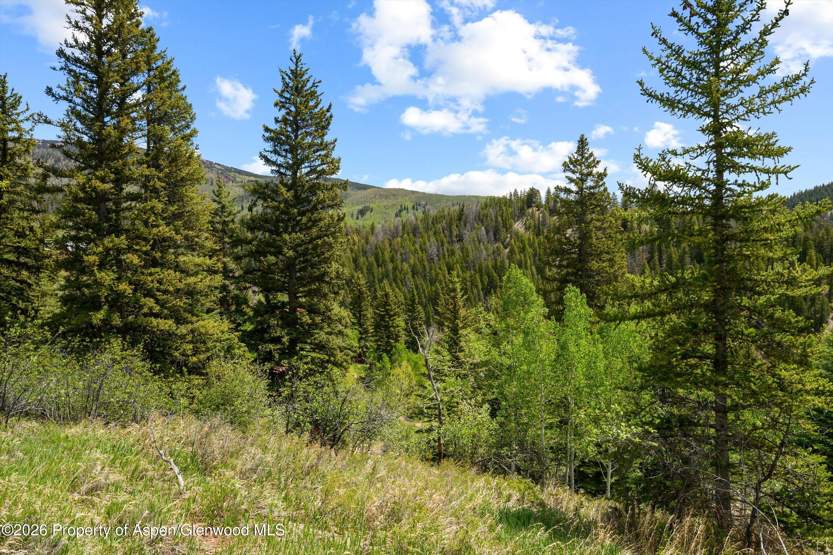 1239 McLaughlin Lane Basalt, CO 81621 - Photo 21 of 21 15-1239McLaughlin_26052115