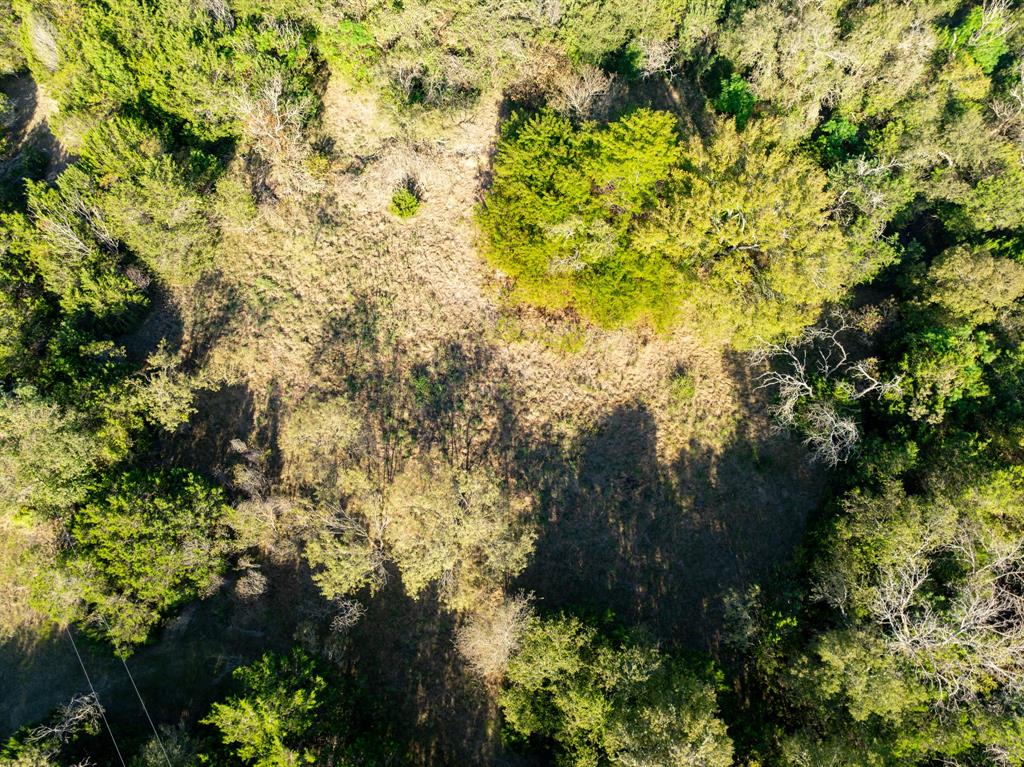 Tbd Tbd Tx-6 Clifton, TX 76634 - Photo 13 of 28 a view of a tree with a yard