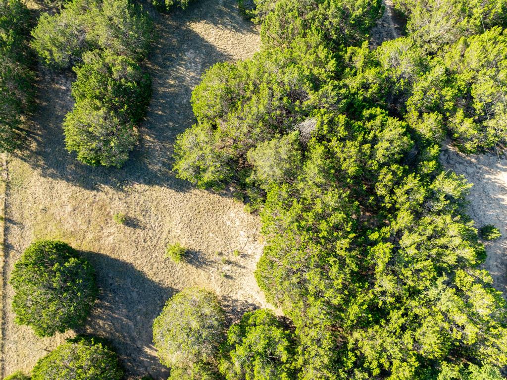 Tbd Tbd Tx-6 Clifton, TX 76634 - Photo 16 of 28 a view of a garden