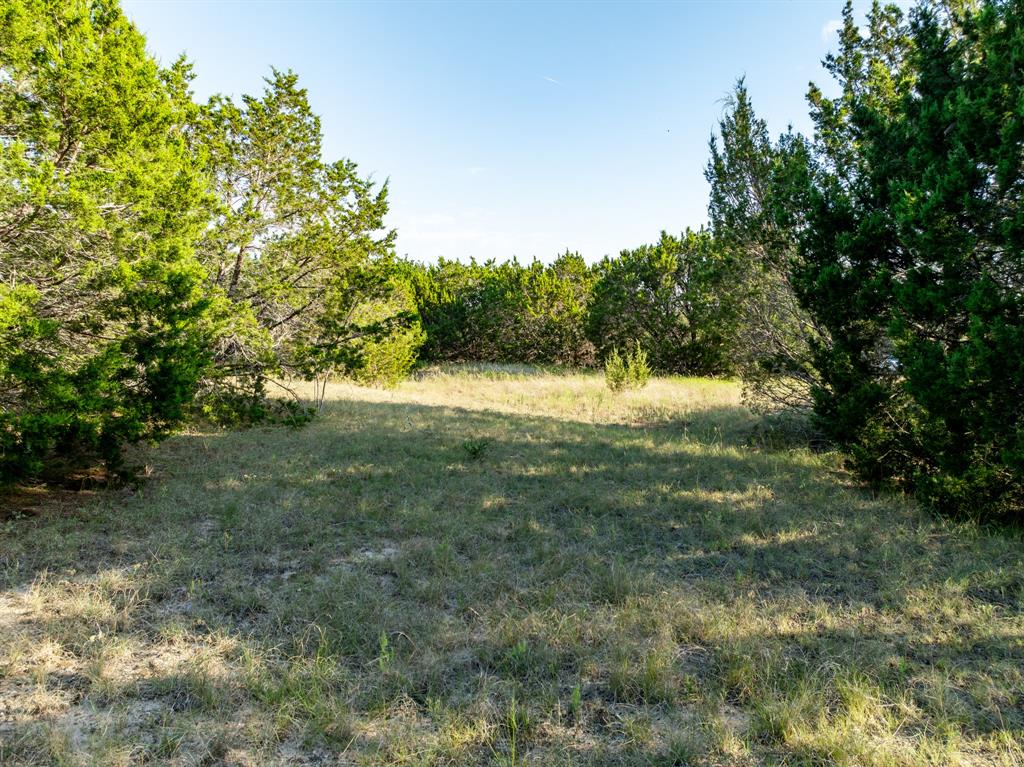 Tbd Tbd Tx-6 Clifton, TX 76634 - Photo 19 of 28 a view of a yard with a tree
