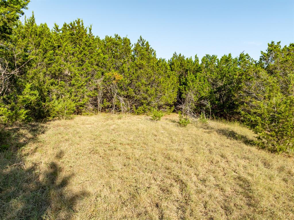 Tbd Tbd Tx-6 Clifton, TX 76634 - Photo 22 of 28 a view of a yard with a tree