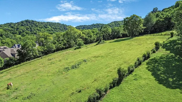 a view of a green field with lots of bushes