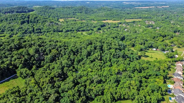 a view of a lush green forest with a houses