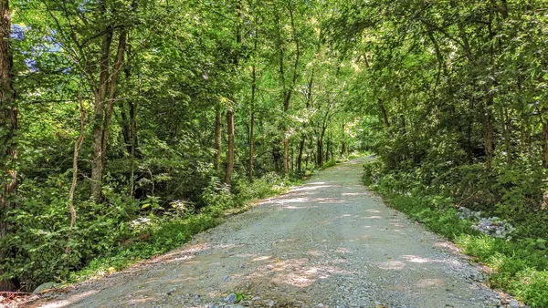 a view of a pathway of a yard