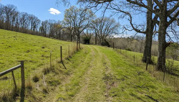 a view of an outdoor space and a yard