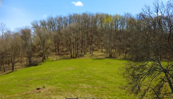 a view of outdoor space with trees all around