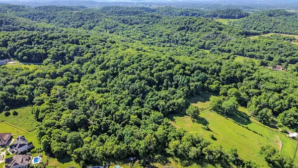 a view of a lush green forest with a lush green forest