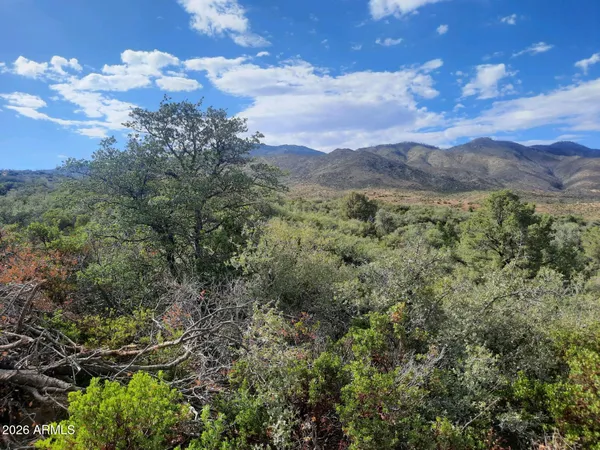 $100,000 | 1-xx North 1-xx N Chicory Lane, Globe, AZ 85501