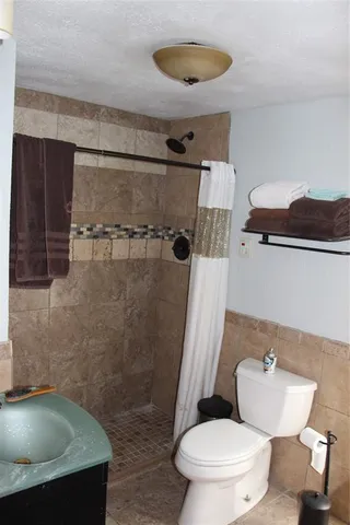 a bathroom with a sink a toilet and shower