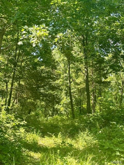 10595 Mill Road Bucyrus, MO 65444 - Photo 25 of 34