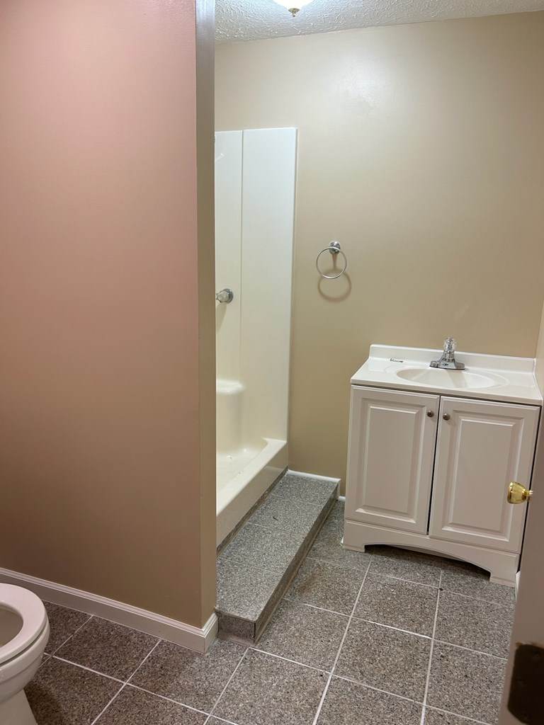 1310 Dr Brooks Road Box Springs, GA 31801 - Photo 4 of 7 a bathroom with a sink a toilet and shower