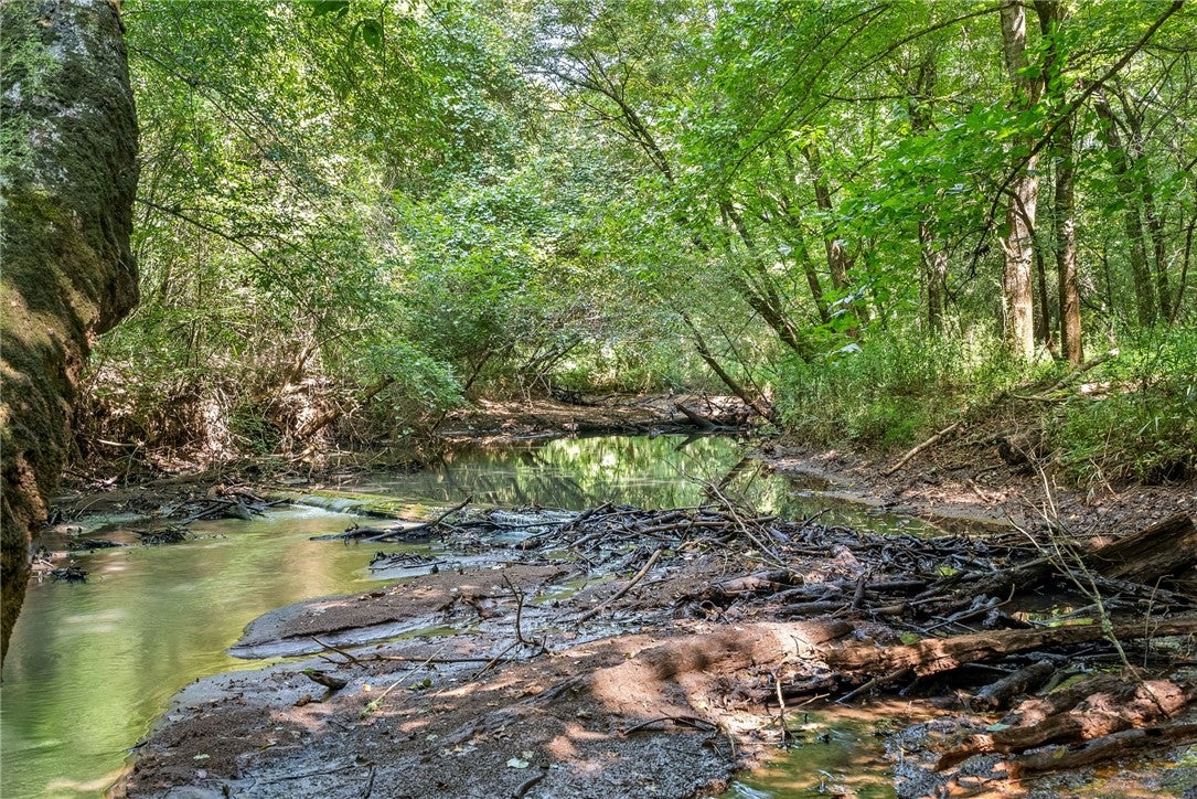 6669 West Farmville Road Waverly, AL 36879 - Photo 25 of 41 Loblockee Creek