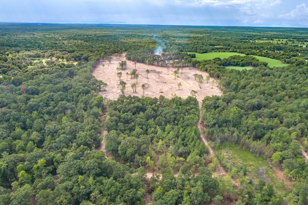 4307 Rd Larue Tx 75770 Road Larue, TX 75770 - Photo 14 of 17 Expansive wooded acreage with a cleared parcel, featuring mature trees and a distant open field