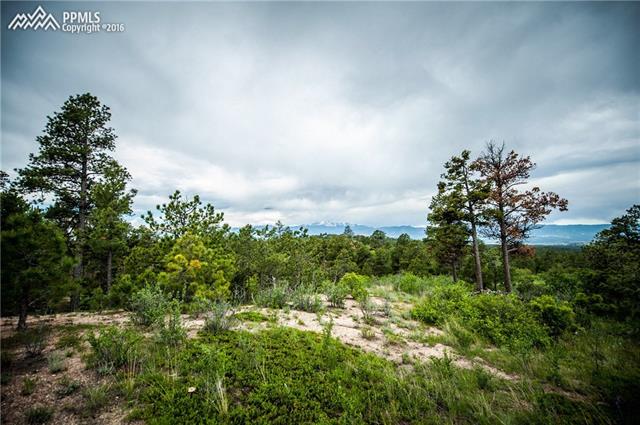 11005 South Holmes Road Colorado Springs, CO 80908 - Photo 9 of 25 Gallery Image 9