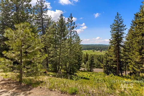 $250,000 | L14 Harrington Place, McCall, ID 83638