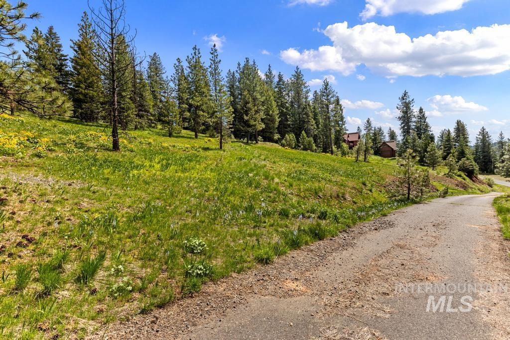 L14 Harrington Place McCall, ID 83638 - Photo 7 of 31