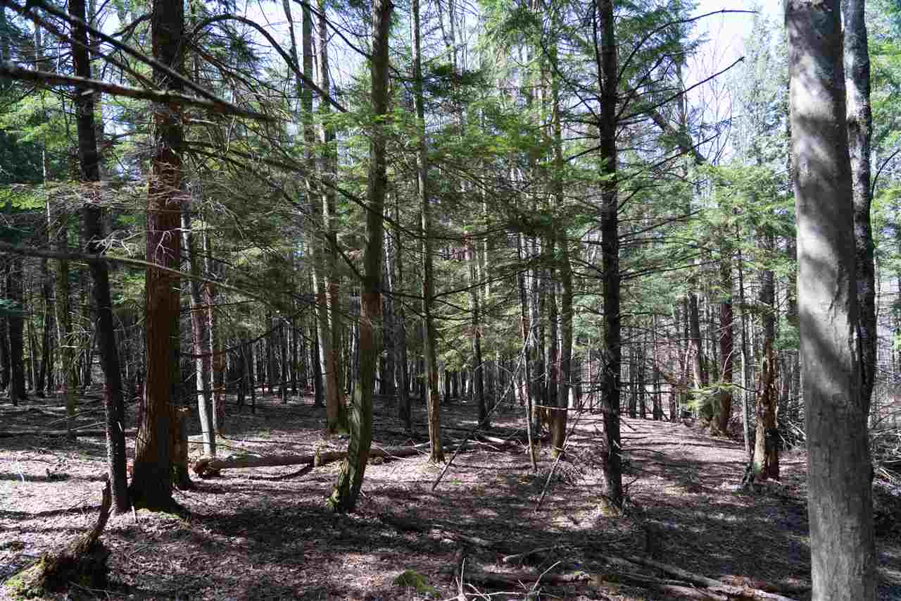 0 Ayers Farm Road, Unit 13 Stowe, VT 05672 - Photo 3 of 8