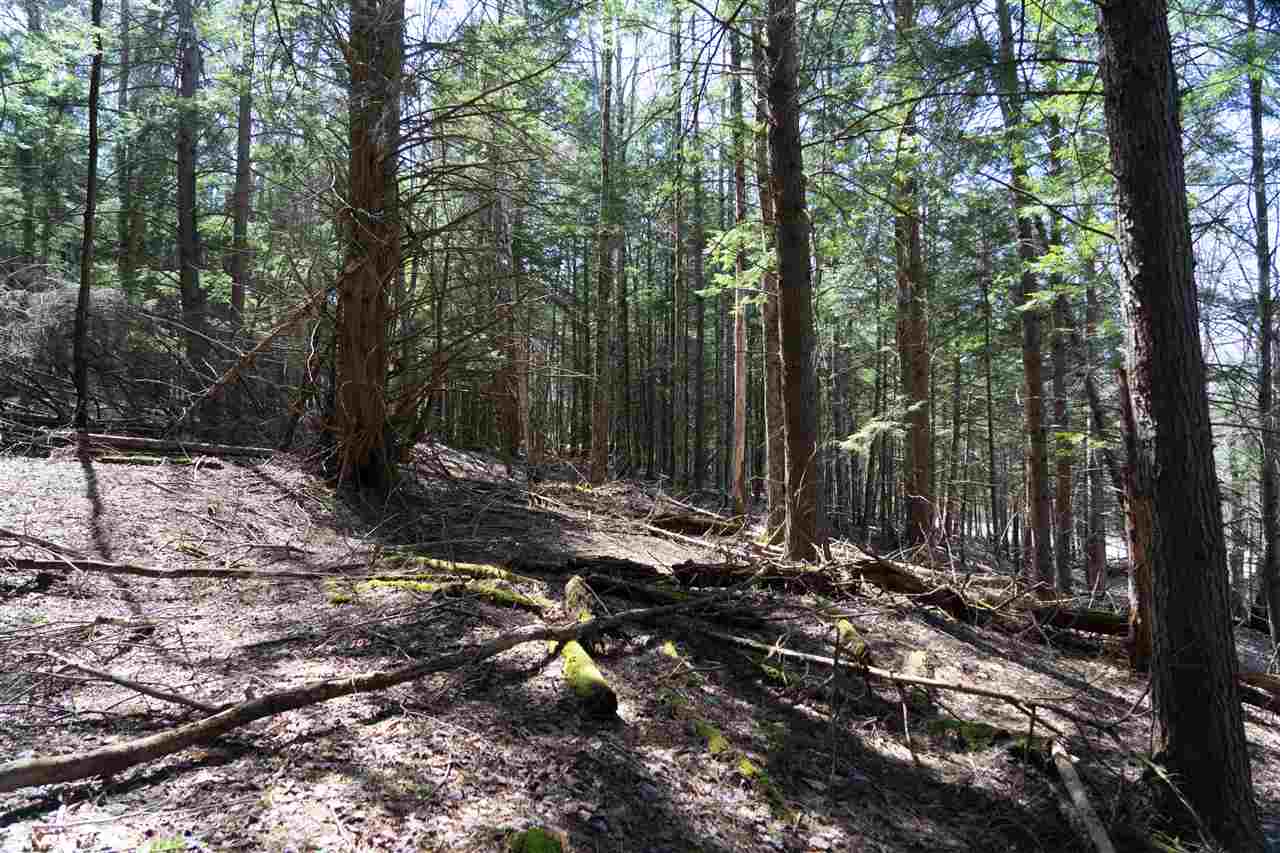 0 Ayers Farm Road, Unit 13 Stowe, VT 05672 - Photo 8 of 8