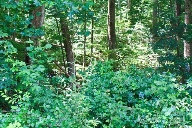 $60,000 | Tbd Greenyard Trail, Unit 7, Candler, NC 28715