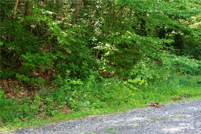 $60,000 | Tbd Greenyard Trail, Unit 7, Candler, NC 28715