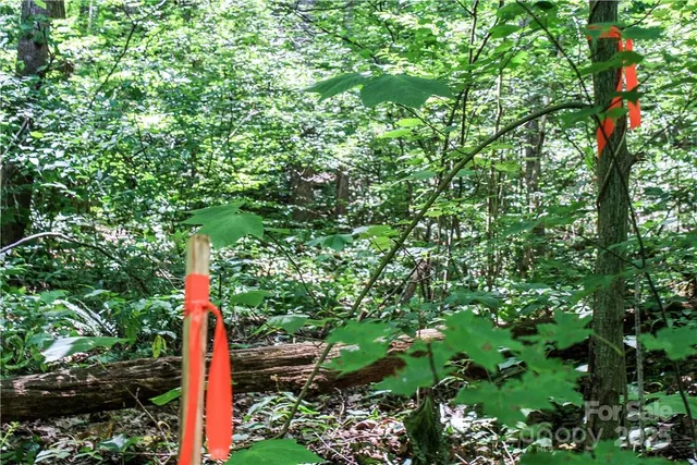 $60,000 | Tbd Greenyard Trail, Unit 7, Candler, NC 28715