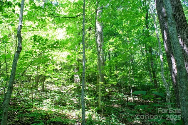 $60,000 | Tbd Greenyard Trail, Unit 7, Candler, NC 28715