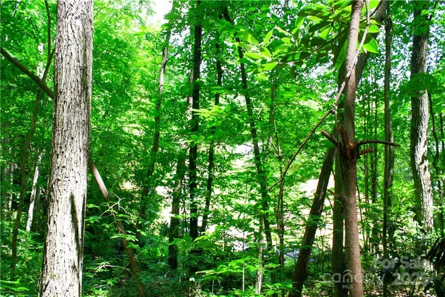 $60,000 | Tbd Greenyard Trail, Unit 7, Candler, NC 28715