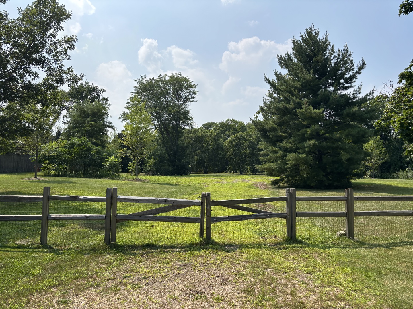 a view of park with benches