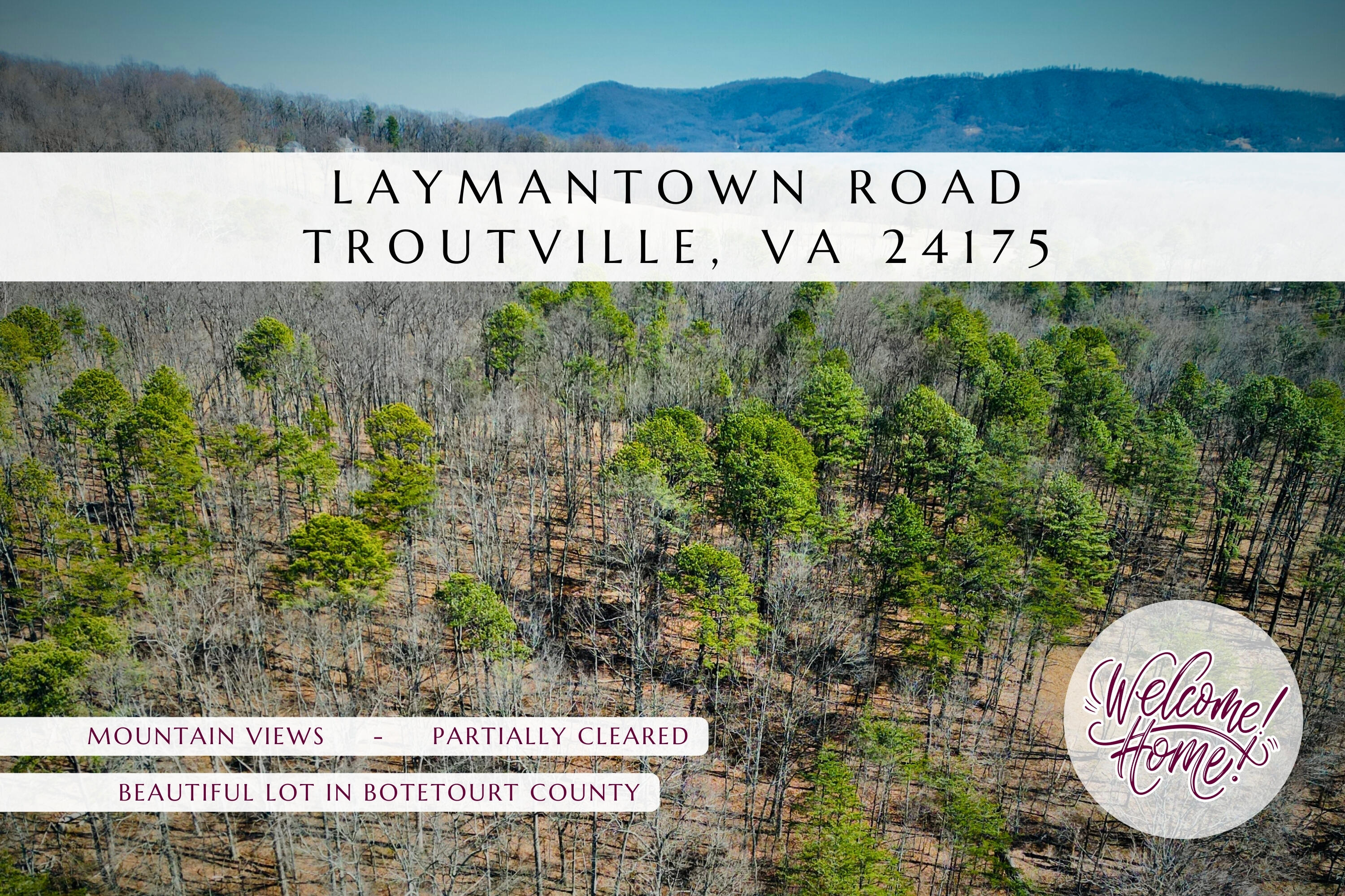 0 Laymantown Road Troutville, VA 24175 - Photo 1 of 20 MAIN