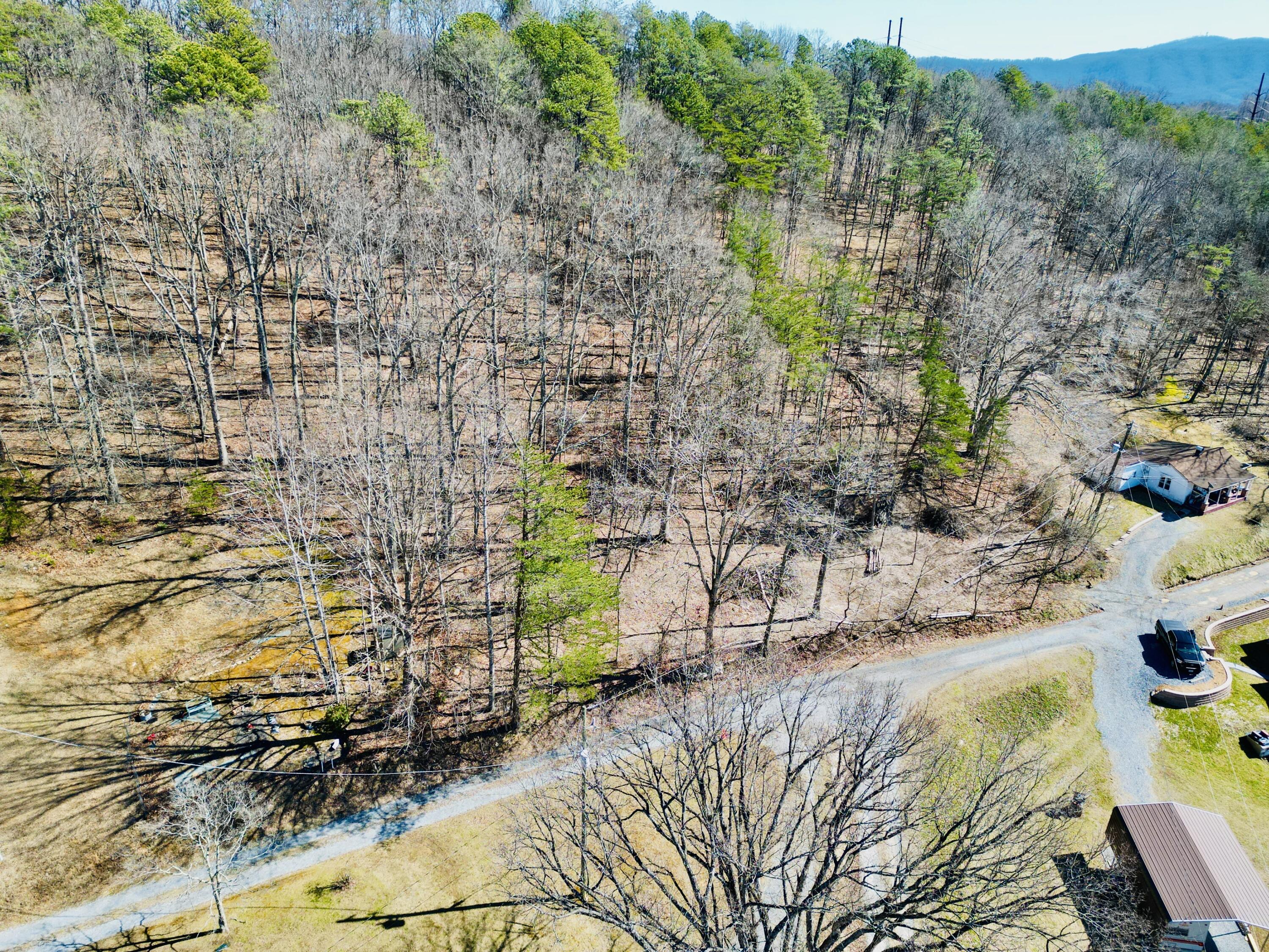 0 Laymantown Road Troutville, VA 24175 - Photo 11 of 20 Front of lot