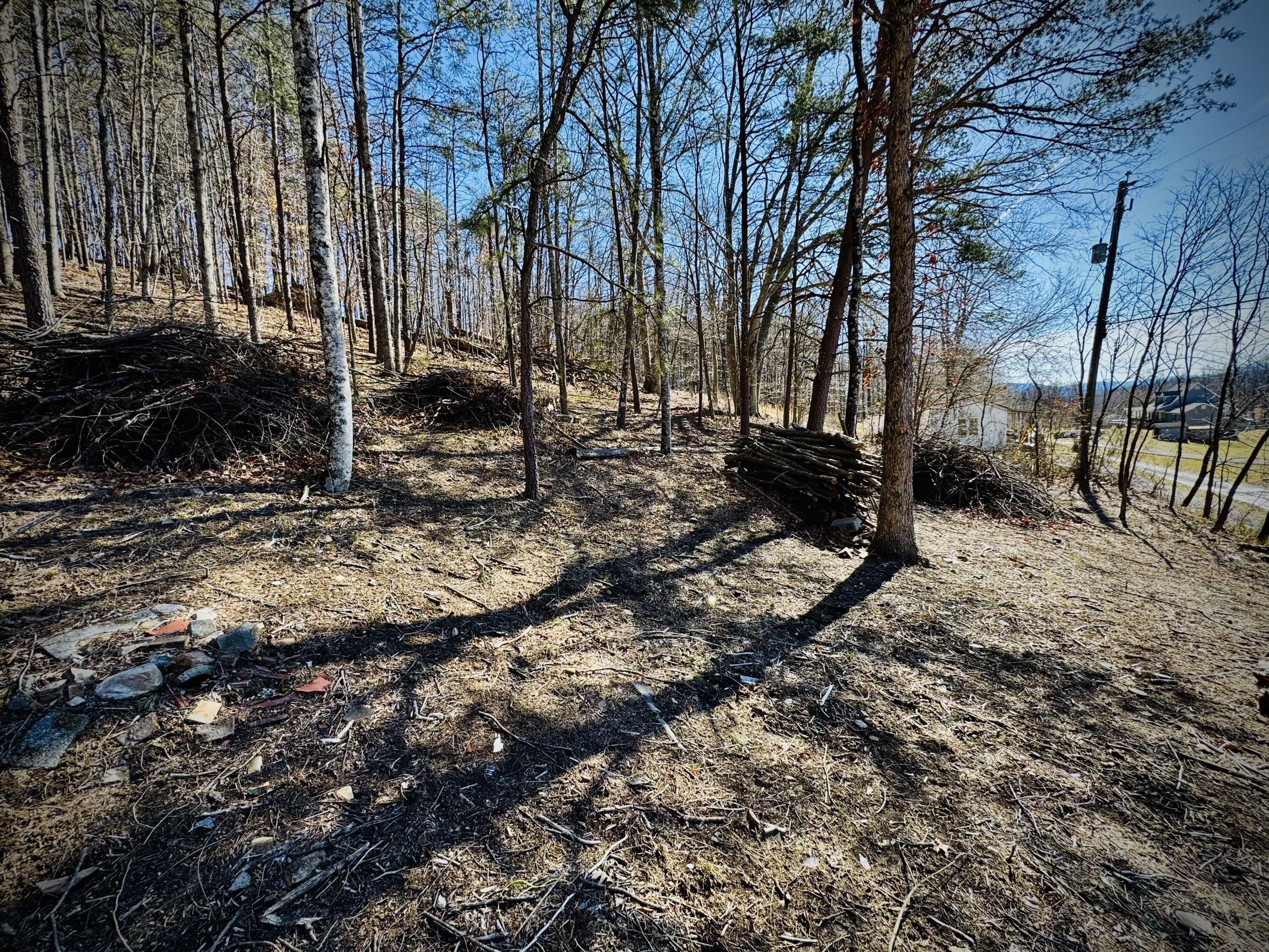 0 Laymantown Road Troutville, VA 24175 - Photo 12 of 20 cleared piles