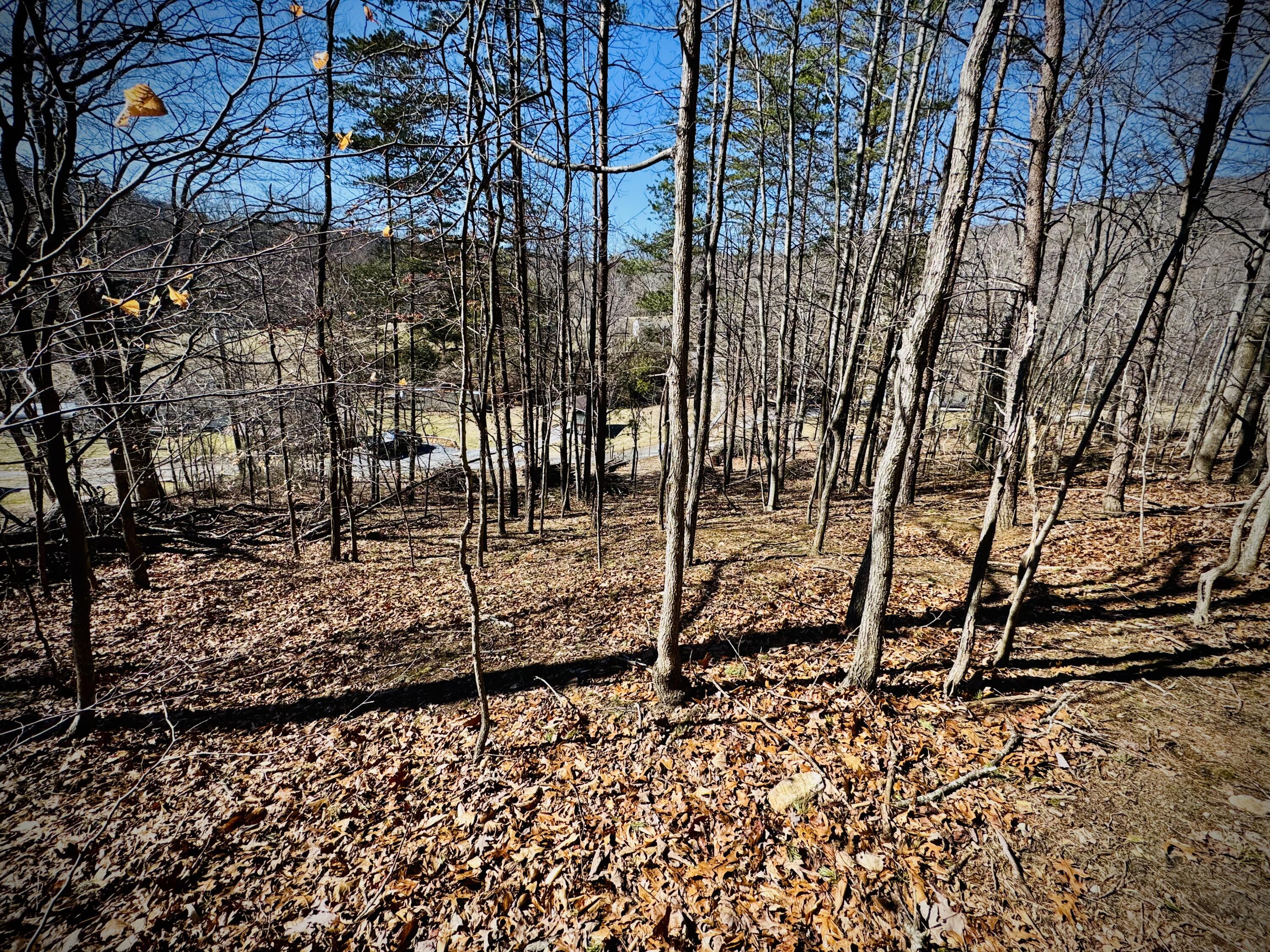 0 Laymantown Road Troutville, VA 24175 - Photo 15 of 20 Middle of lot