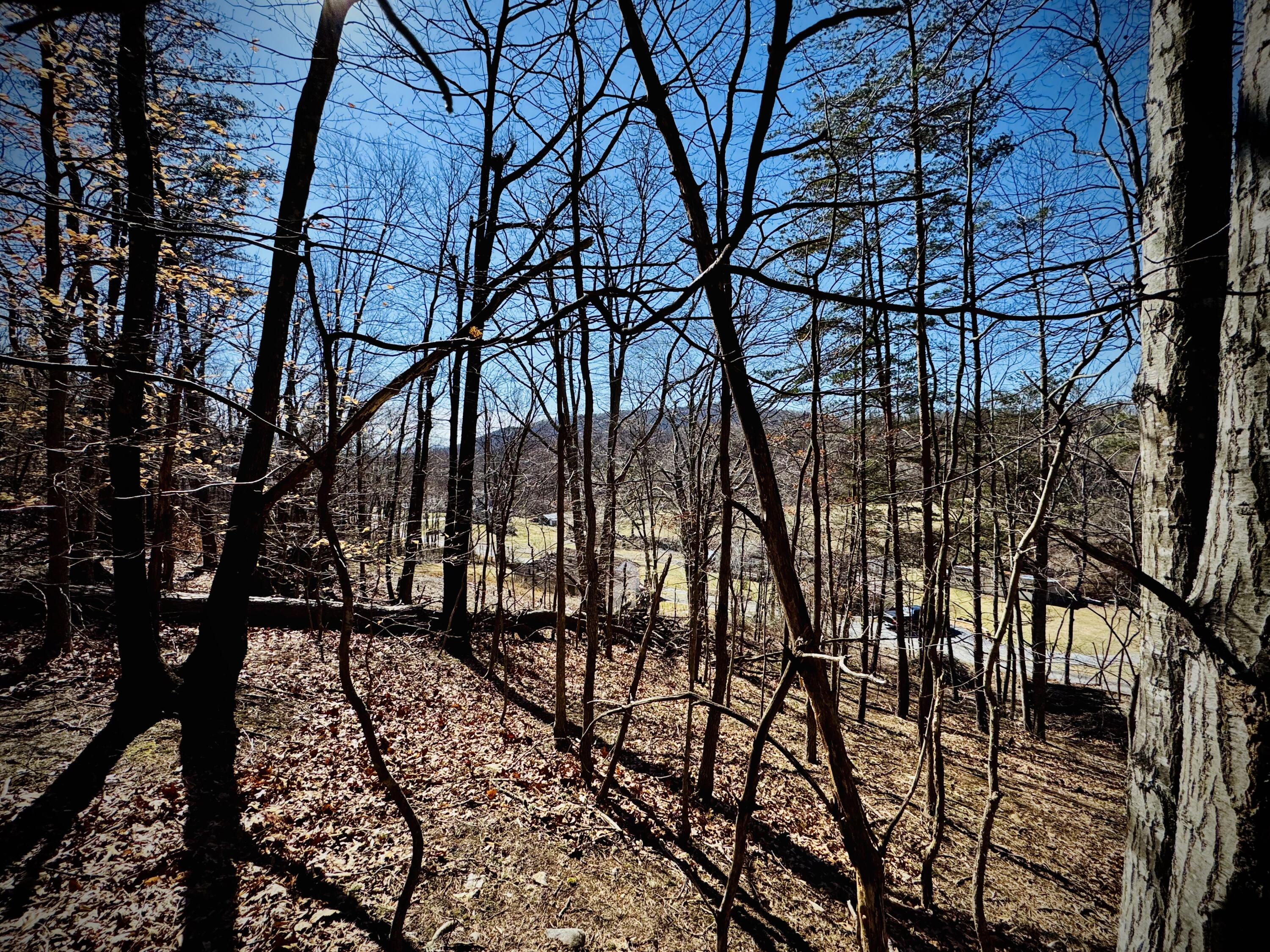 0 Laymantown Road Troutville, VA 24175 - Photo 16 of 20 Middle of lot