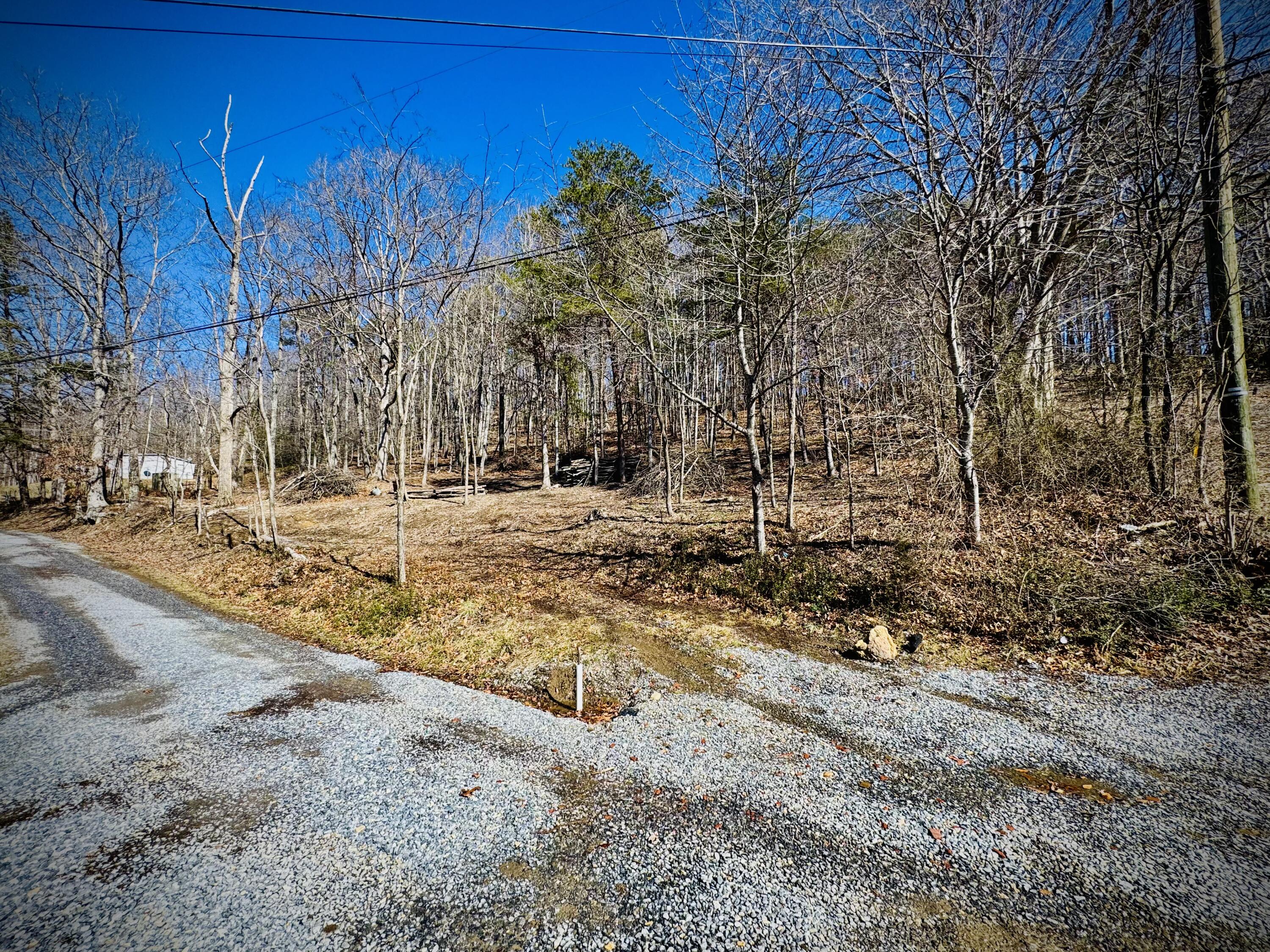 0 Laymantown Road Troutville, VA 24175 - Photo 3 of 20 Property Entrance from Laymantown