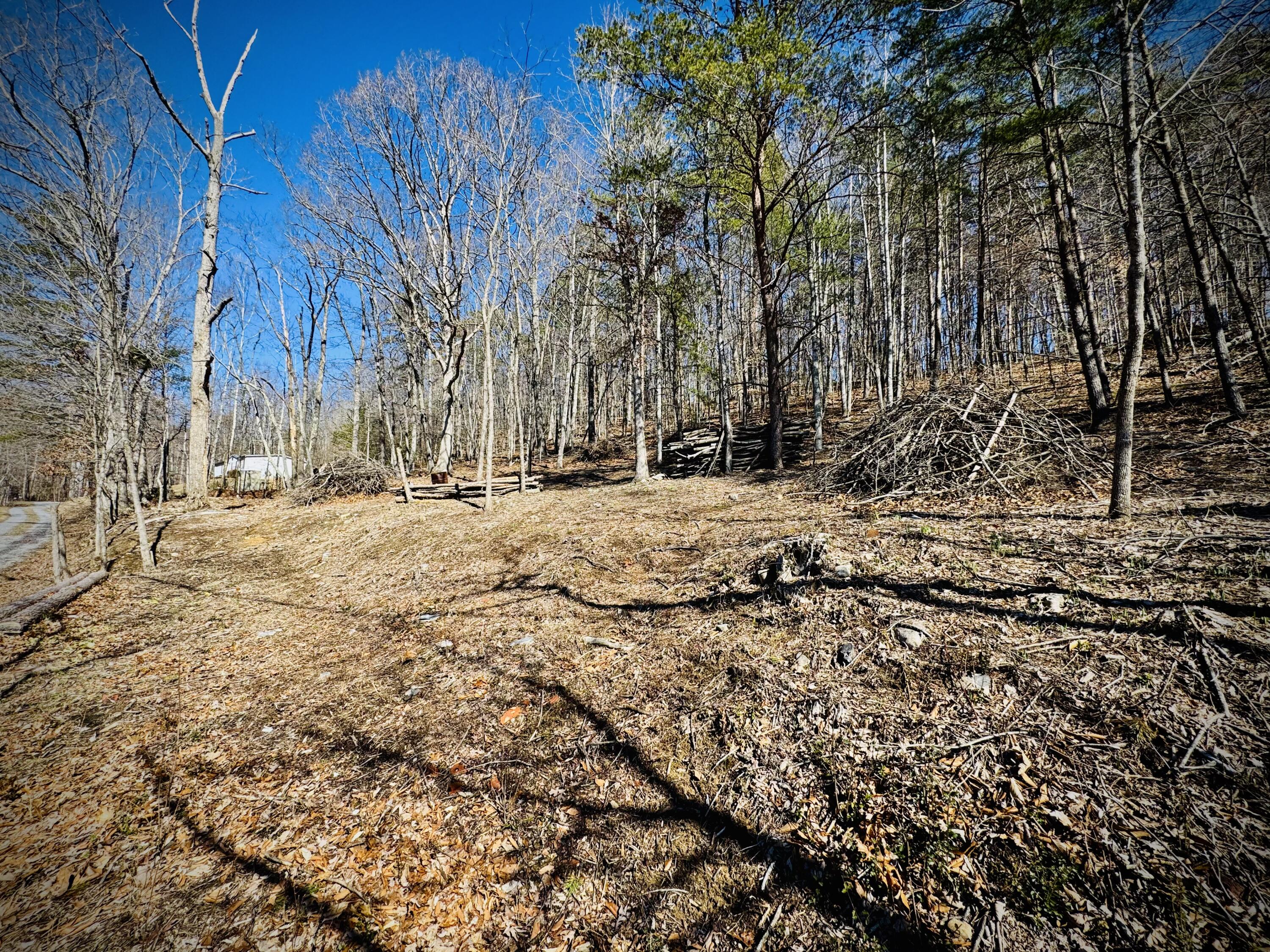 0 Laymantown Road Troutville, VA 24175 - Photo 4 of 20 Front Portion of Lot
