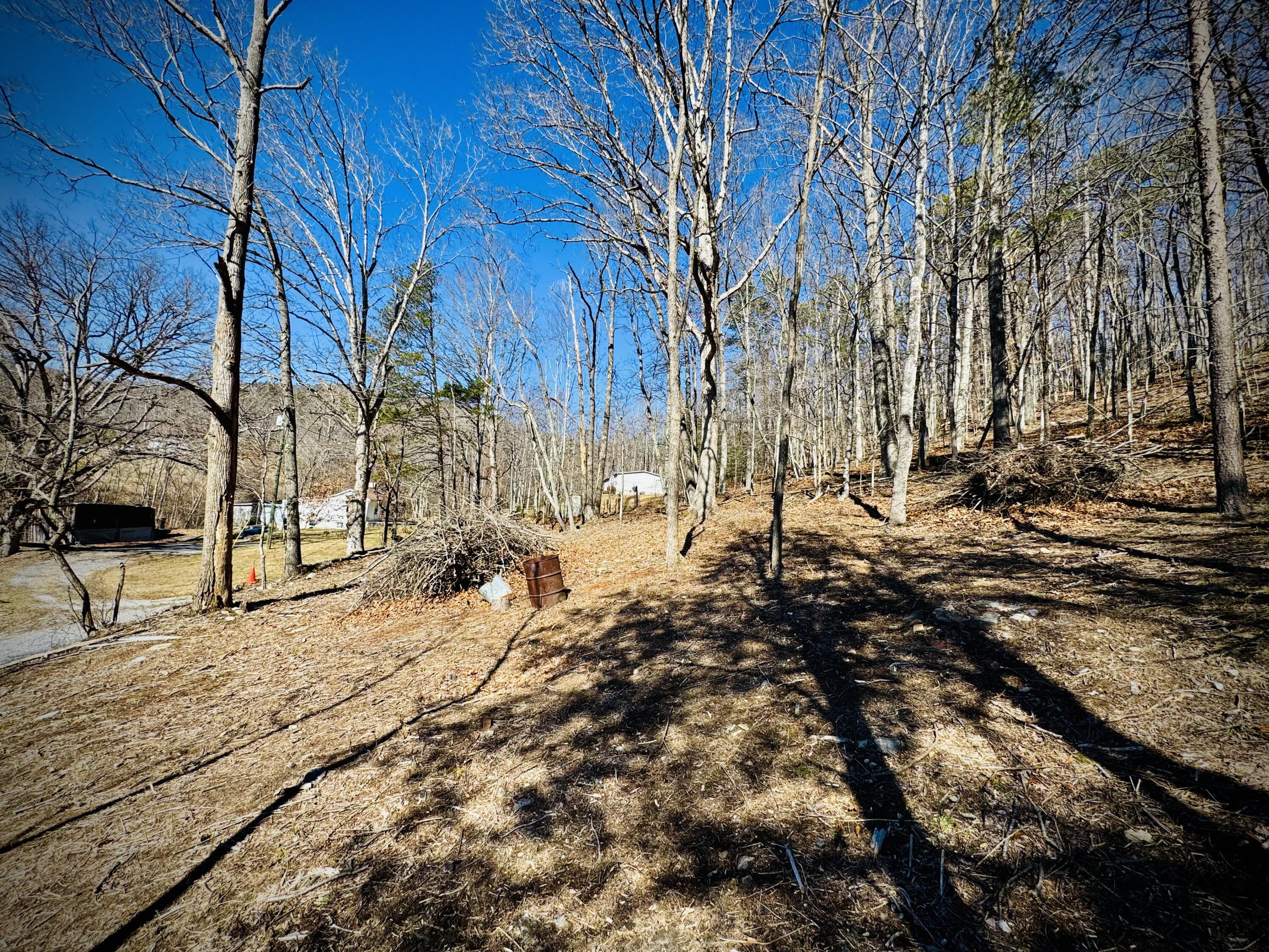 0 Laymantown Road Troutville, VA 24175 - Photo 5 of 20 Front Portion of lot