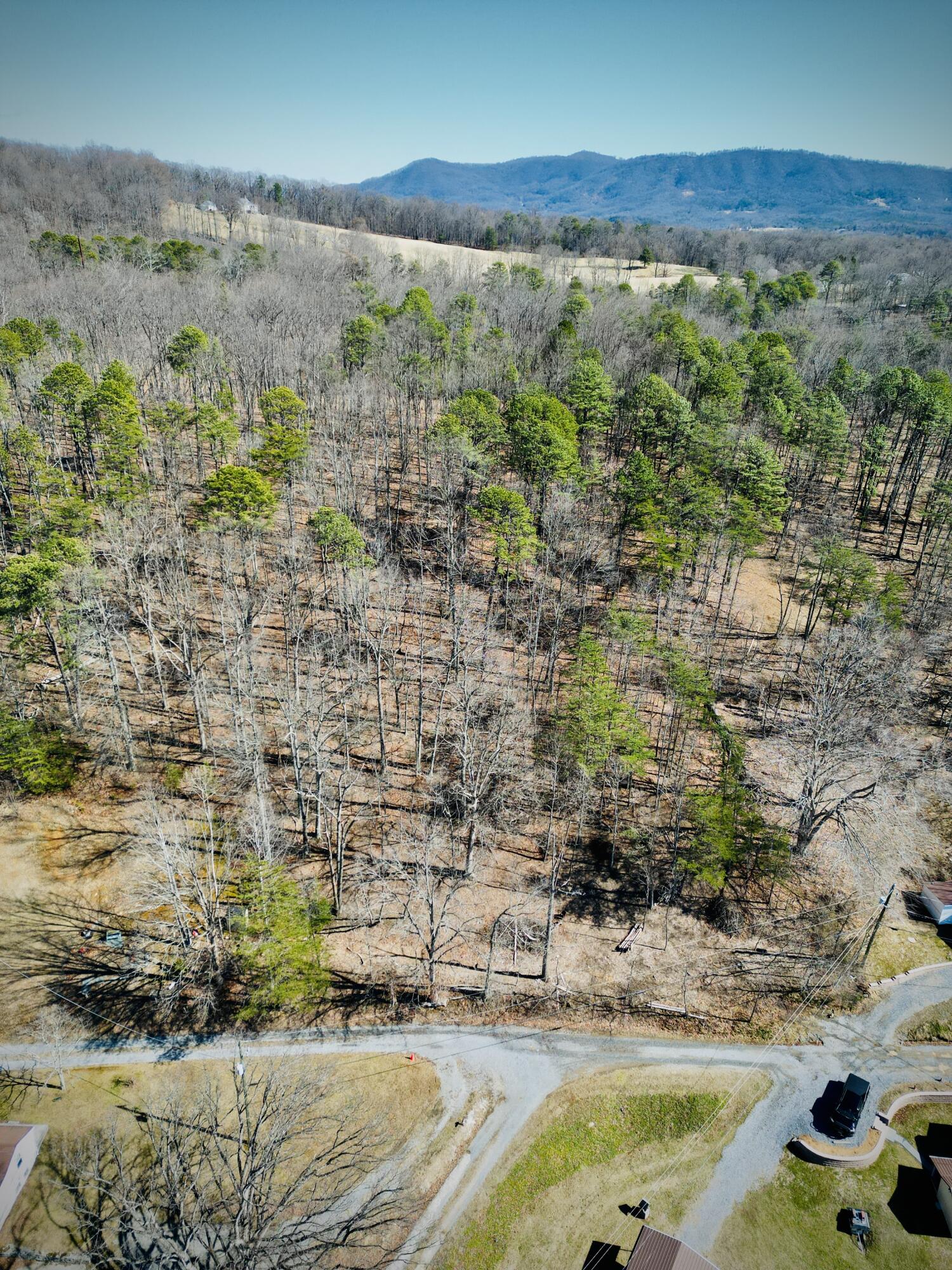 0 Laymantown Road Troutville, VA 24175 - Photo 6 of 20 Looking toward lot from above