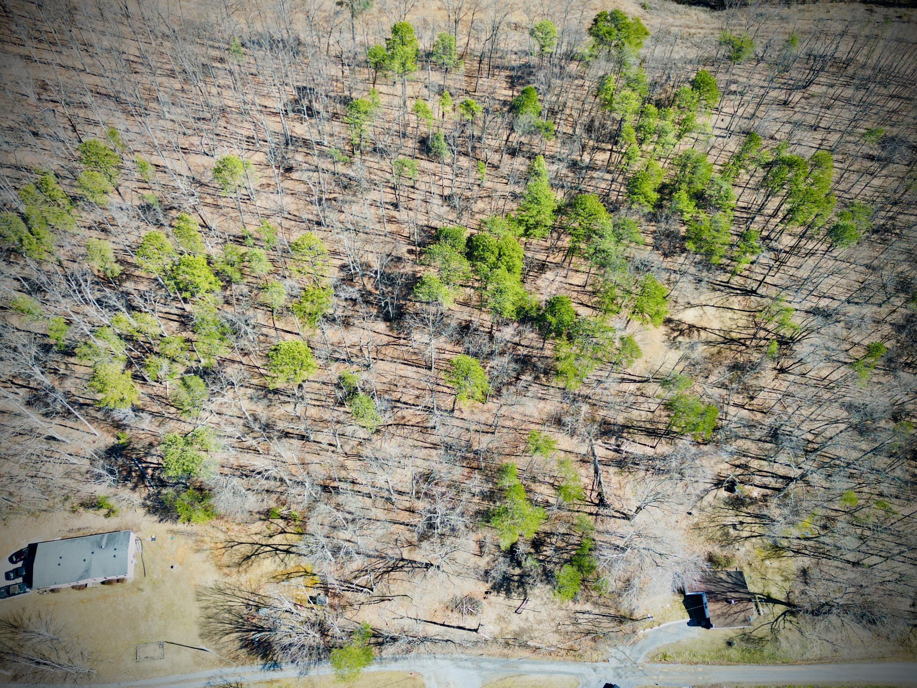 0 Laymantown Road Troutville, VA 24175 - Photo 10 of 20 above from front