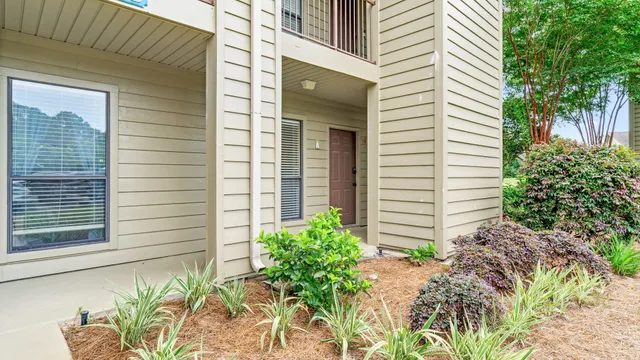 a potted plant sitting in front of a house