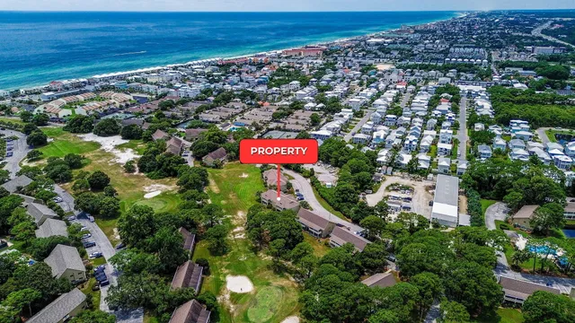a view of a city with plants and a building in the background