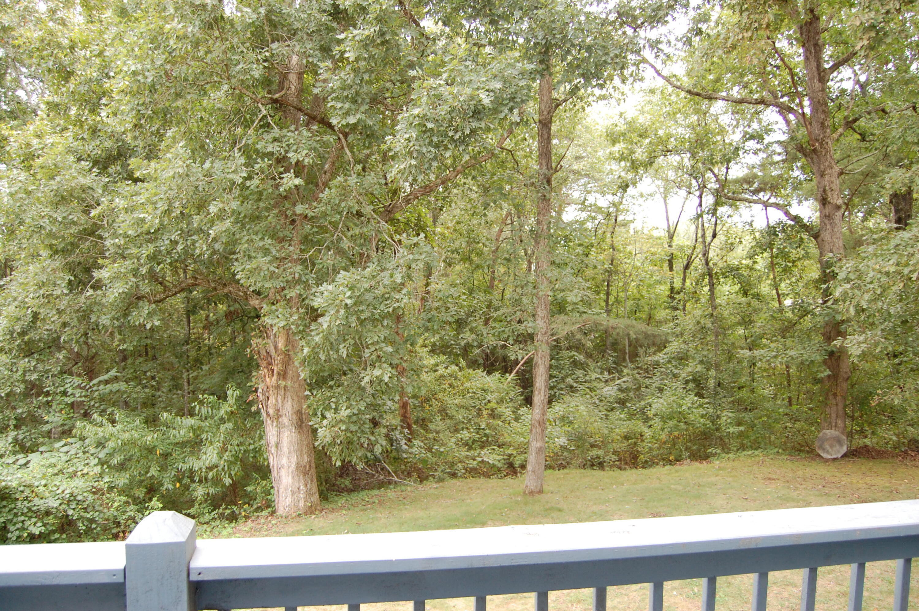 289 Dogwood Circle, Unit 2427 Decatur, TN 37322 - Photo 16 of 52 DSC_0212