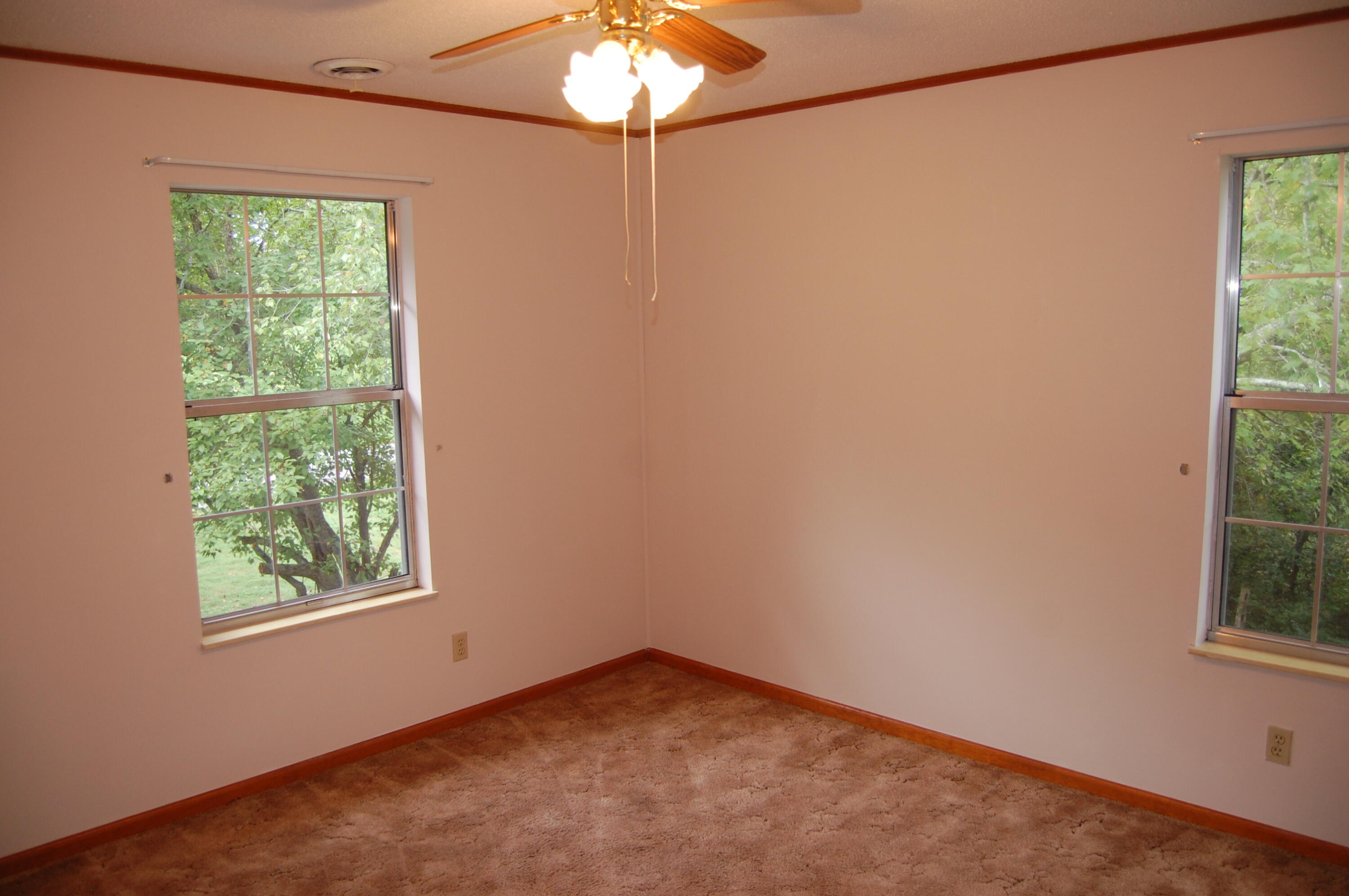 289 Dogwood Circle, Unit 2427 Decatur, TN 37322 - Photo 38 of 52 DSC_0205