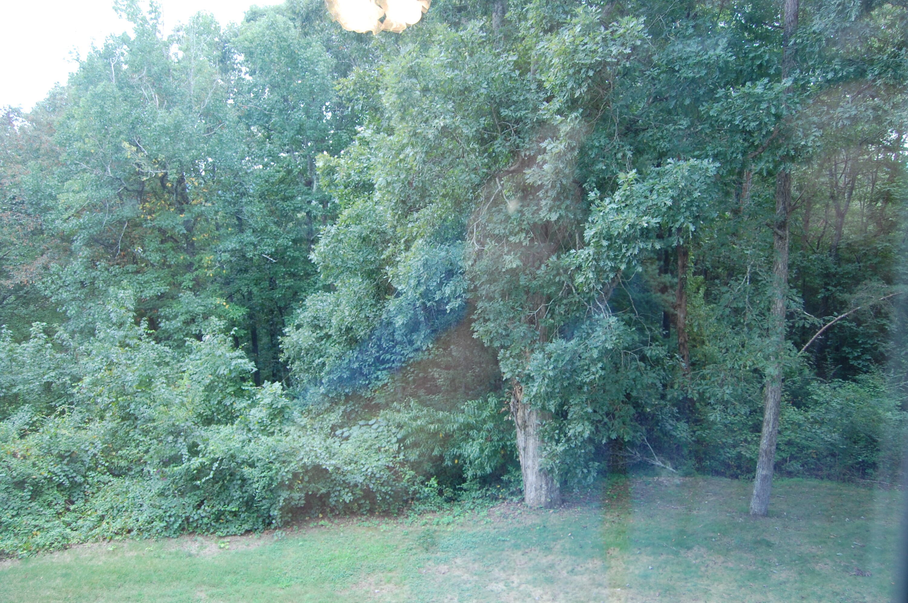 289 Dogwood Circle, Unit 2427 Decatur, TN 37322 - Photo 49 of 52 DSC_0202