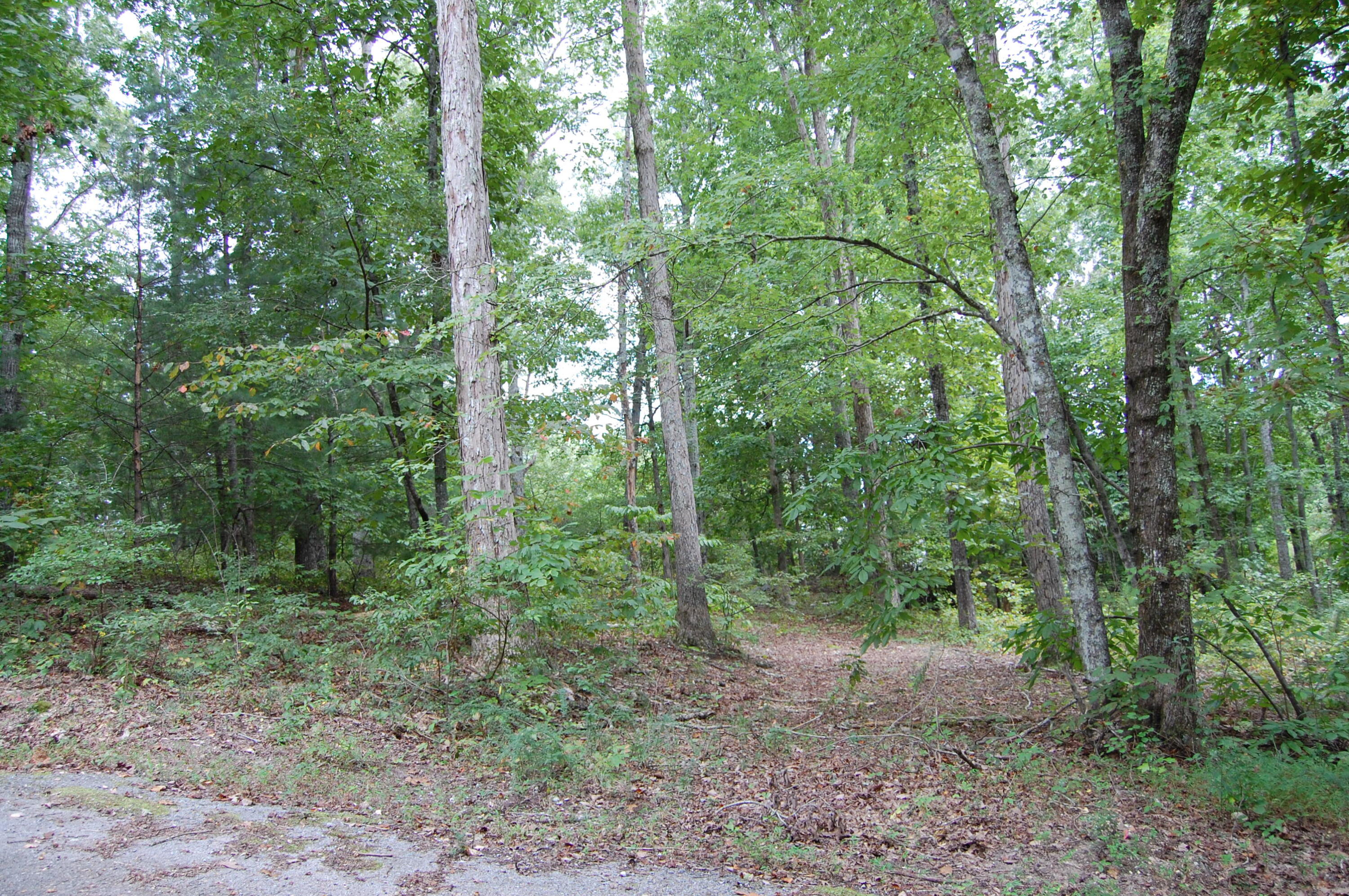 289 Dogwood Circle, Unit 2427 Decatur, TN 37322 - Photo 50 of 52 DSC_0217