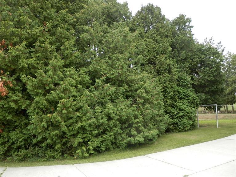 5658 Milarch Road Manistee, MI 49660 - Photo 7 of 24 Additional Photo