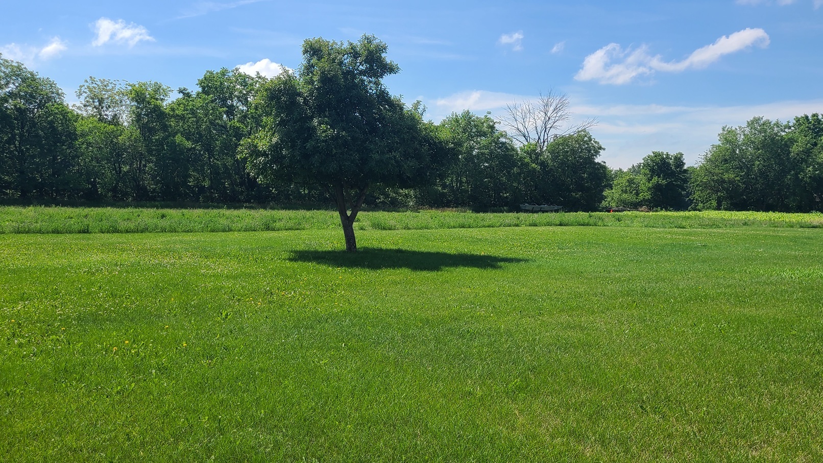 9830 Yorktown Road Lyndon, IL 61261 - Photo 35 of 36