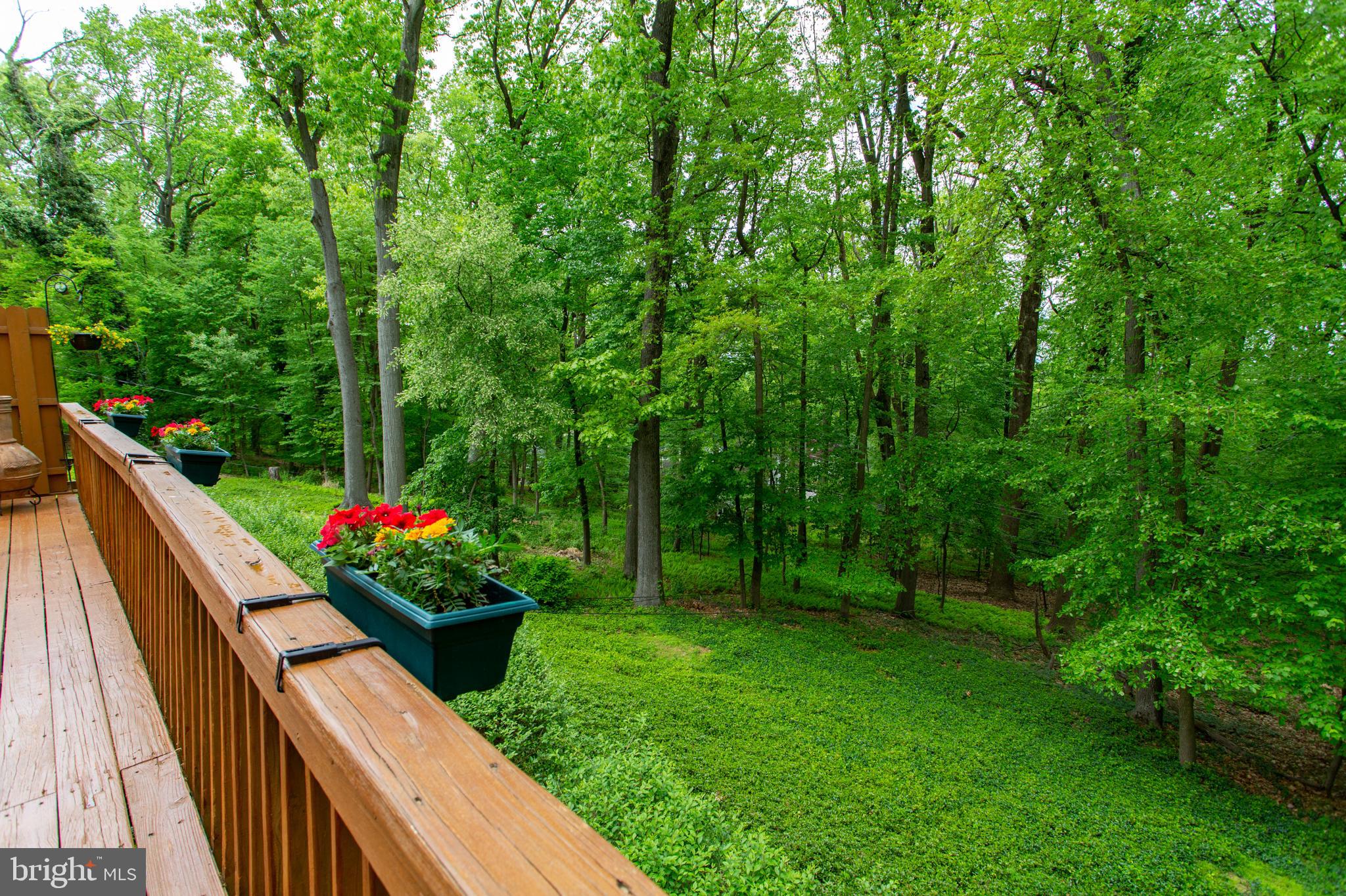 661 Forest Road Wayne, PA 19087 - Photo 11 of 42