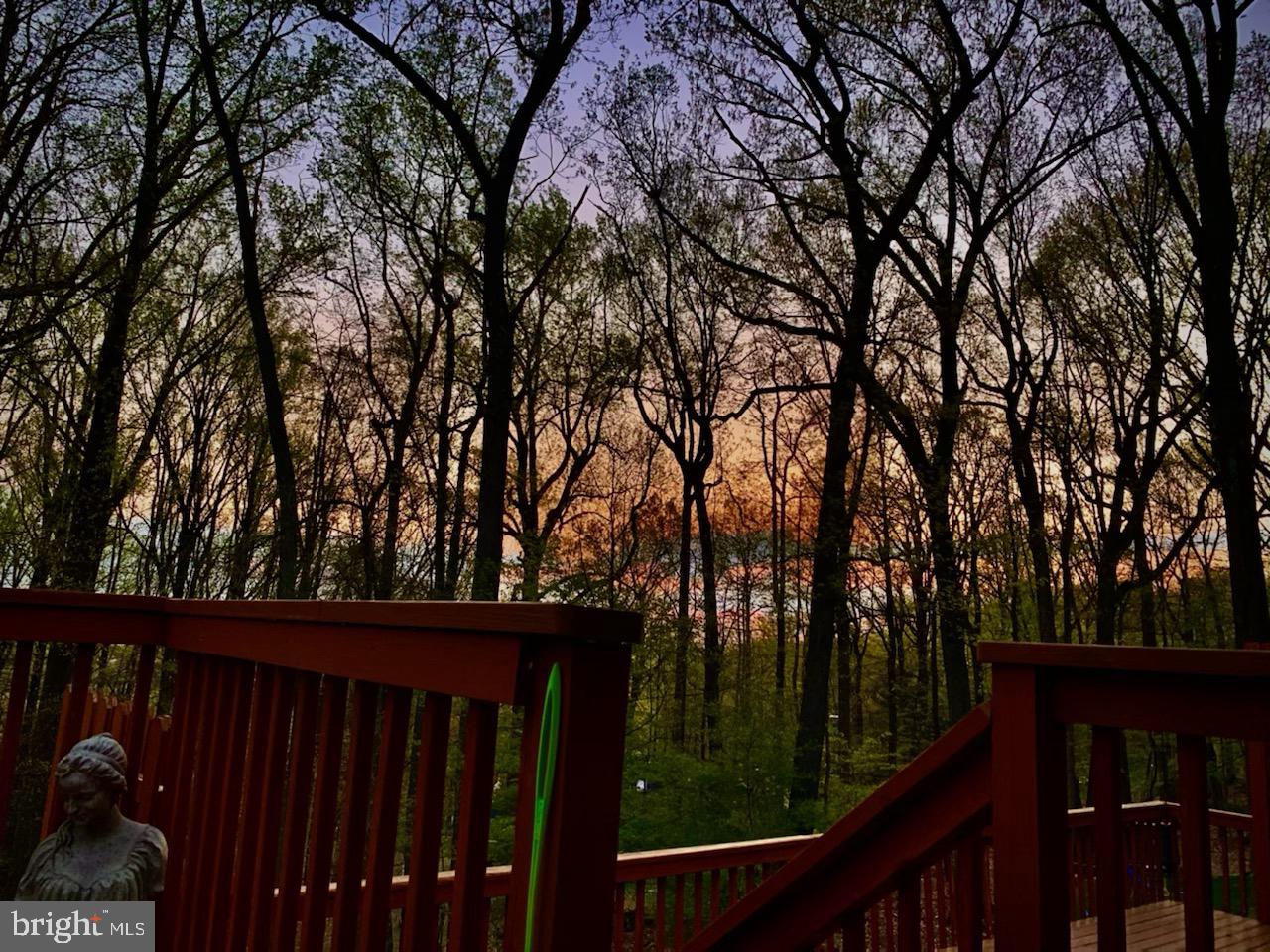 661 Forest Road Wayne, PA 19087 - Photo 40 of 42 View from back deck