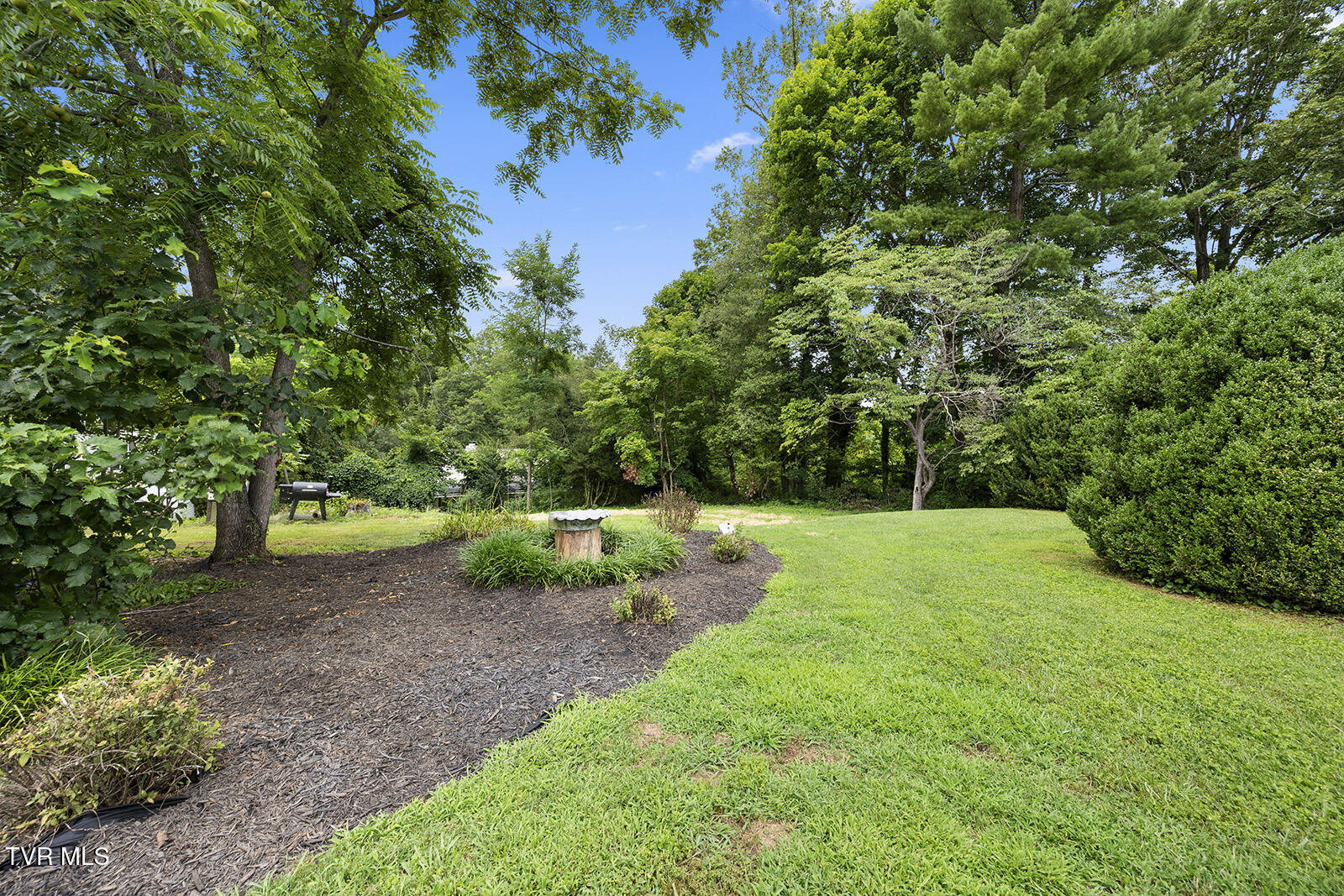 217 North Street Marion, VA 24354 - Photo 43 of 50 DSC_0127_1600