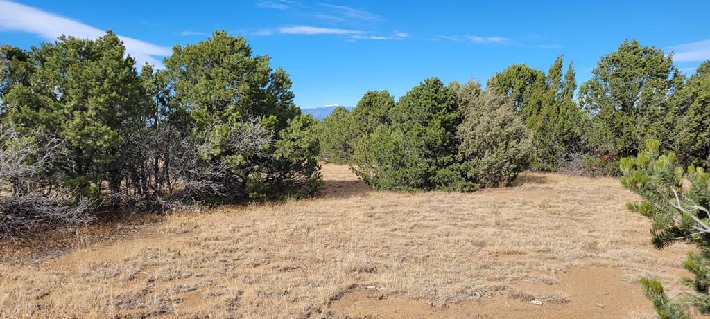 Lot 34 Silver Spur Road Walsenburg, CO 81089 - Photo 24 of 43